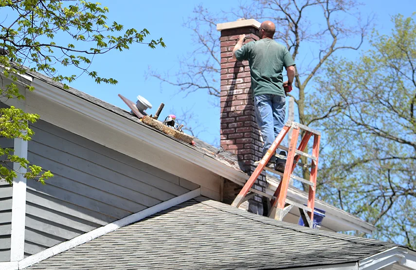 Chimney & Fireplace Inspections Services in St. Charles, IL